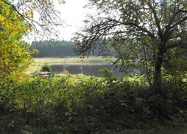 Ferienwohnung in Wildemann