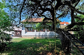 Apartment 1950