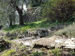 Peaceful Villa Stay in Rapallo