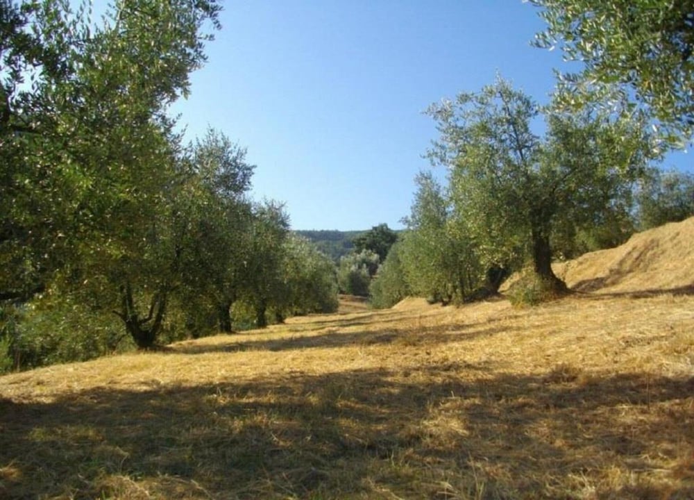 House in Pistoia Countryside