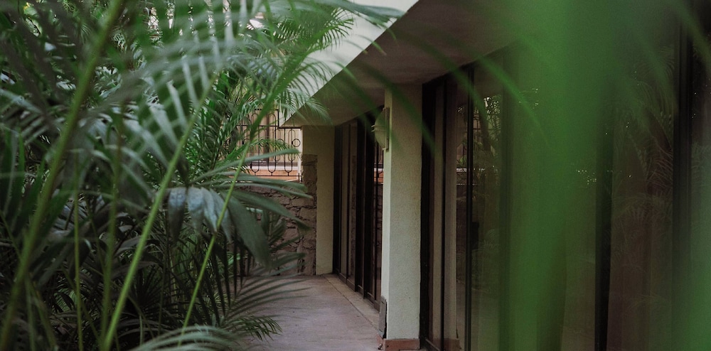 HS HOTSSON Hotel Tampico