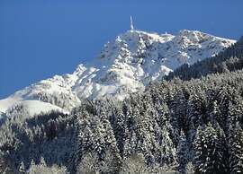 Forest Family Stay, Triberg