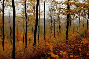 Seeblick-flucht in Langscheid
