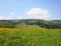 Apartment in Willingen Near Ski Slopes