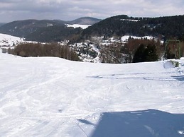 Apartment in Willingen Near Ski Slopes