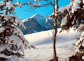Detached Chalet in Saalbach