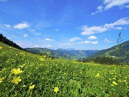 Detached Chalet in Saalbach