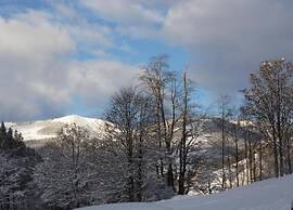 Detached Chalet in Saalbach