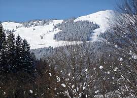 Detached Chalet in Saalbach