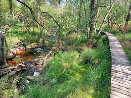 Nature Retreat in Waimes