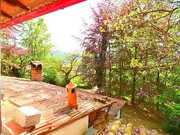 Spacious Home With Shared Pool