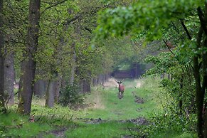 Cottage in Veluwe Near Forest Park