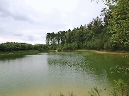 Charming Chalet in Transinne