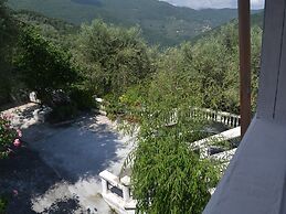 Nature Retreat in Testico