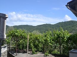 Nature Retreat in Testico