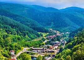 Hideaway Near Black Forest
