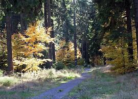 Engenstein Woodland Escape