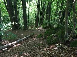 Holiday Flat With Terrace in the Westerwald