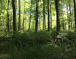 Holiday Flat With Terrace in the Westerwald