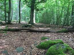 Holiday Flat With Terrace in the Westerwald