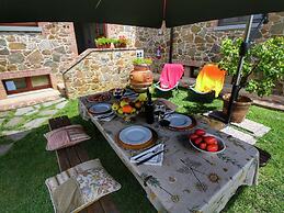 Cottage in Tuscany With Pool & Olive Groves