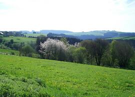 Hellenthal Family Retreat