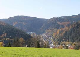 Ferienhaus, Schwarzwald