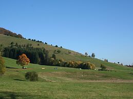 Ferienwohnung in Gutenbach