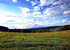 Ferienwohnung in Bernhardsberg Nahe Skipisten