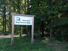 Ferienwohnung in Bernhardsberg Nahe Skipisten