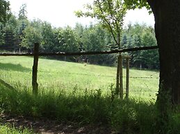 Hillside Cottage Near Winterberg