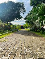 La Plumerias