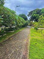 La Plumerias