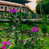 La Plumerias
