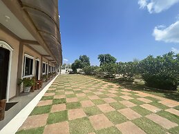 La Plumerias