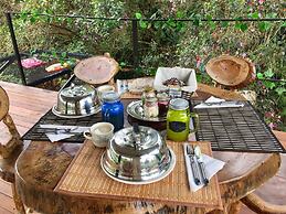 Mot Mot Glamping