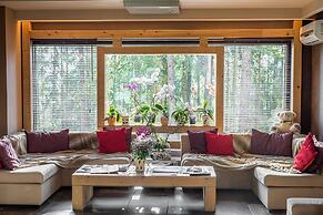 Ioana Hotels
