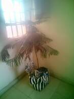 Kea Guest House