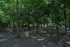 Casolare La Quercia
