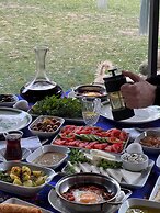 Yiva Kazdaglari