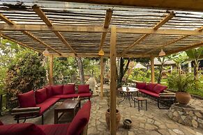 Africa Safari Arusha