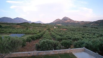 Terra Divina