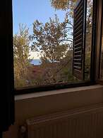 Apartments Petrovac