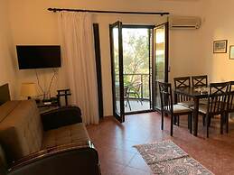 Apartments Petrovac