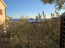 Apartments Petrovac