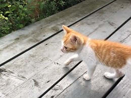 La Terrasse Awaji
