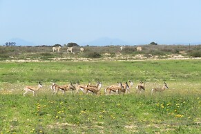 L'Ermitage Quagga Lodge
