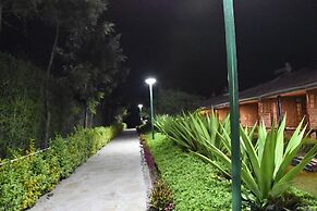 Starling Bird Resort
