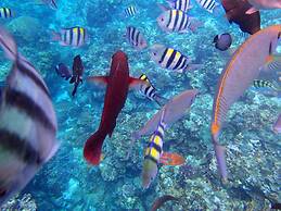 Rainbow Homestay