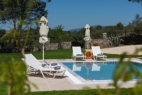 Villa Pine Forest